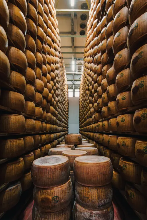 Parmigiano Reggiano: come visitare un caseificio e assistere alla produzione del re dei formaggi