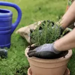 TALEA Fuori Festival a Bologna: tre giorni sulla città verde