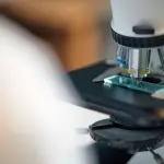 Emilia-Romagna, 2,5 milioni per assumere 30 ricercatori