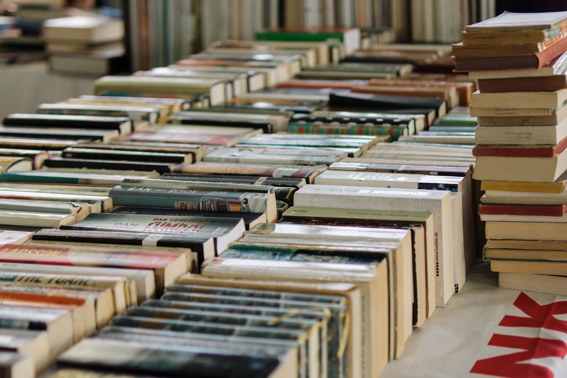 Reggio Emilia, riapre il Mercatino del libro: usati al 50%