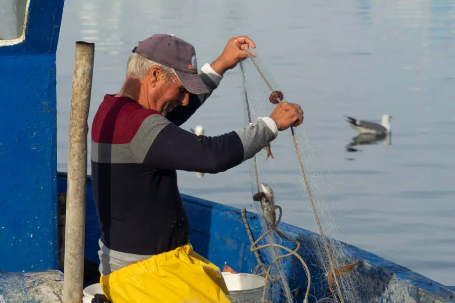 Emilia-Romagna, al via gli Stati generali della pesca