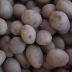 Patate, rese in calo fino al 25% in Emilia-Romagna e Veneto