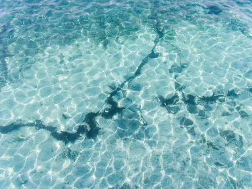 Bologna, al Tecnopolo la prima Conferenza europea sull’acqua