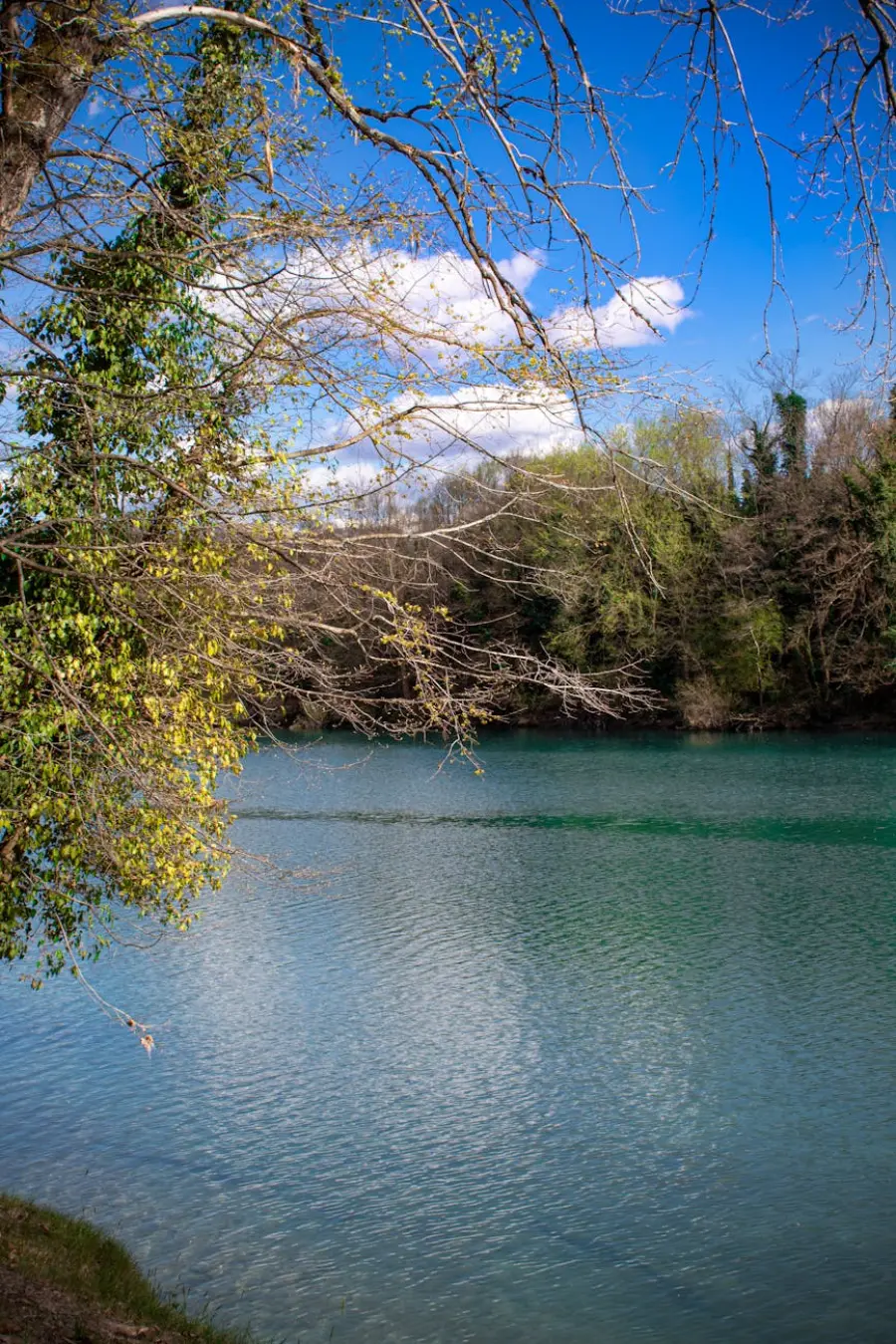 Alluvione a Ravenna, 161 milioni per Lamone, Senio e Santerno