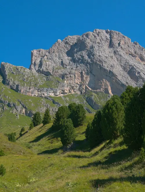 Pavullo, Regione al via con “In Cima” per la montagna